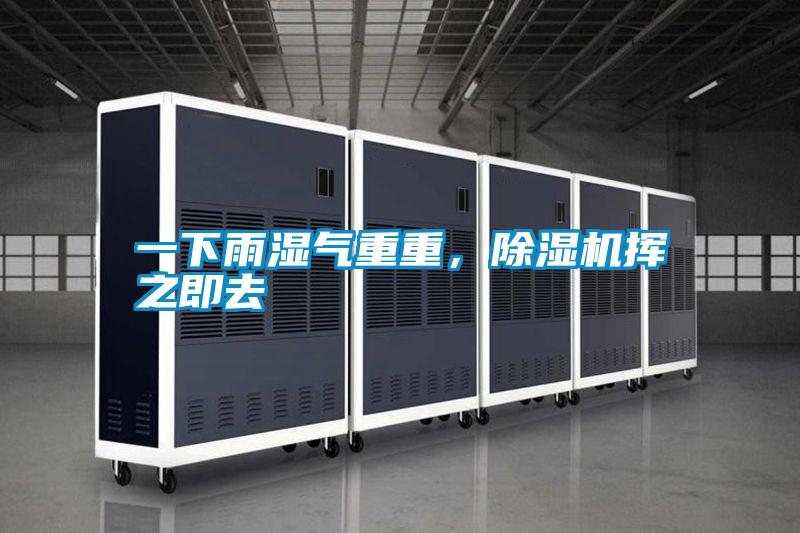 一下雨濕氣重重,除濕機揮之即去