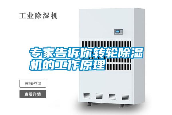 專家告訴你轉(zhuǎn)輪除濕機的工作原理