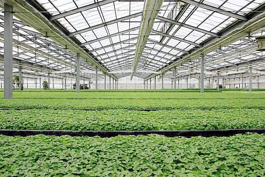 1545357798813712.jpg 未標(biāo)題-2.jpg