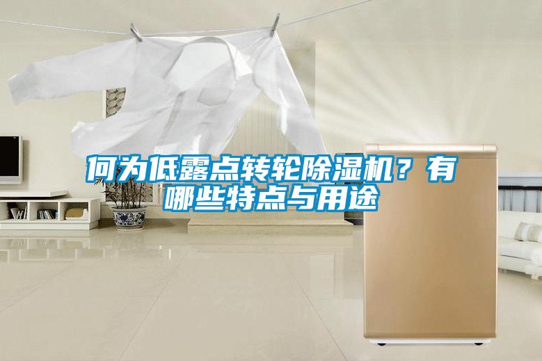 何為低露點轉輪除濕機?有哪些特點與用途