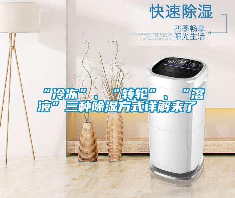 “冷凍”、“轉(zhuǎn)輪”、“溶液”三種除濕方式詳解來了