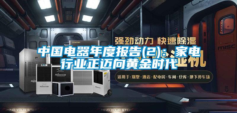 中國電器年度報告(2):家電行業正邁向黃金時代