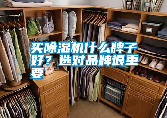 買除濕機(jī)什么牌子好?選對(duì)品牌很重要