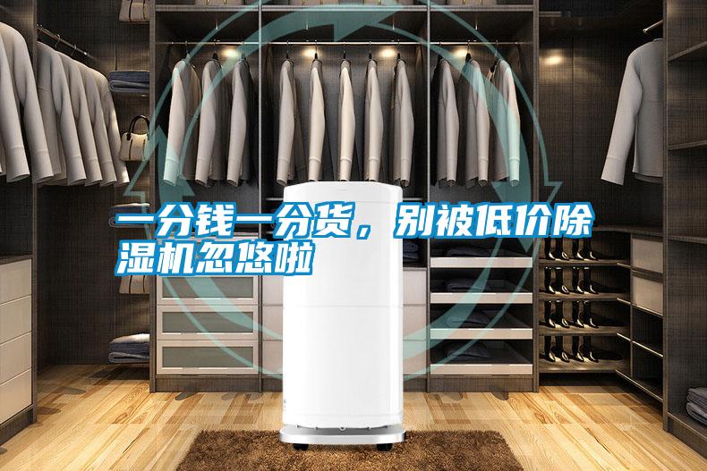 一分錢一分貨,別被低價除濕機忽悠啦