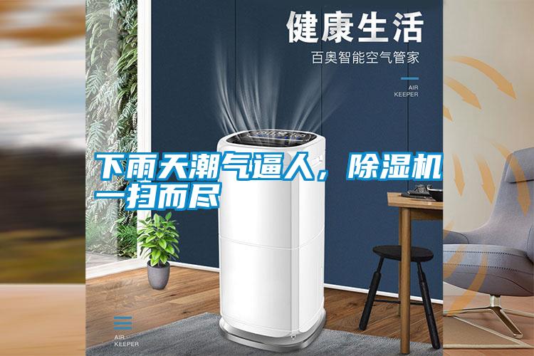 下雨天潮氣逼人,除濕機一掃而盡