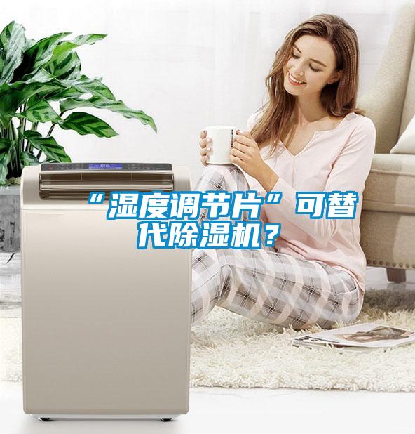 “濕度調節片”可替代除濕機?