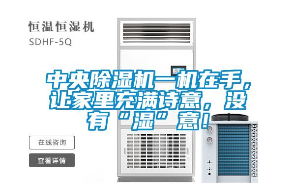 中央除濕機(jī)一機(jī)在手,讓家里充滿詩意,沒有“濕”意!