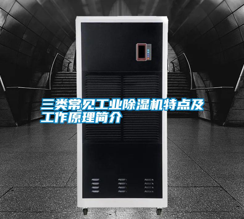 三類常見(jiàn)工業(yè)除濕機(jī)特點(diǎn)及工作原理簡(jiǎn)介