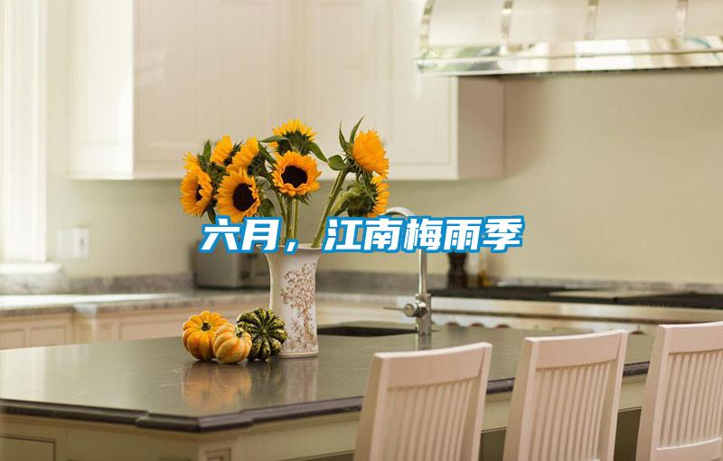 六月,江南梅雨季