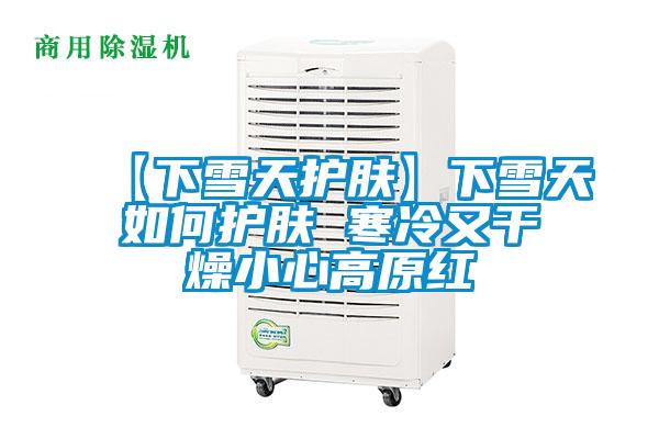 【下雪天護膚】下雪天如何護膚 寒冷又干燥小心高原紅