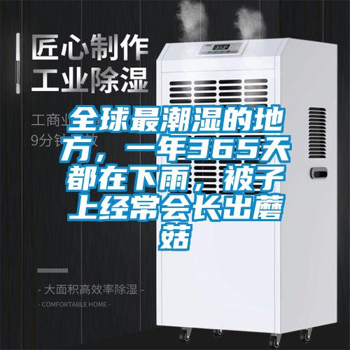 全球最潮濕的地方,一年365天都在下雨,被子上經常會長出蘑菇