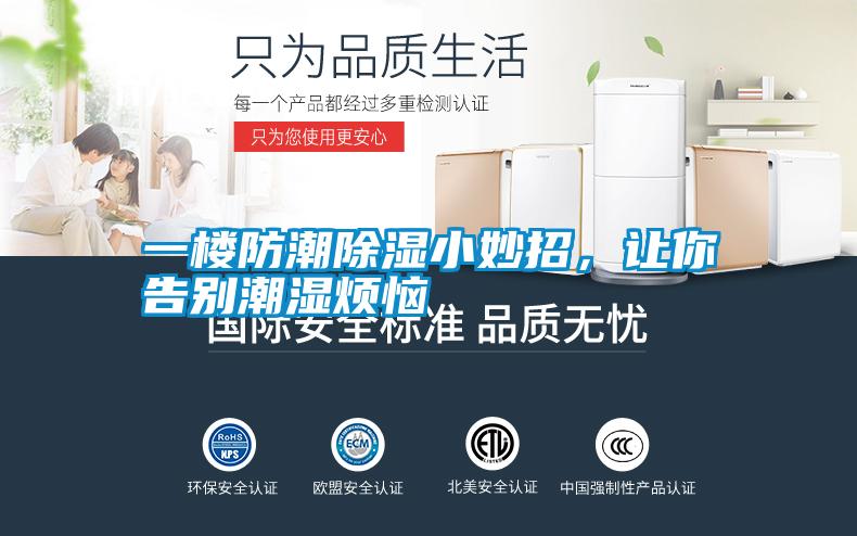 一樓防潮除濕小妙招,讓你告別潮濕煩惱