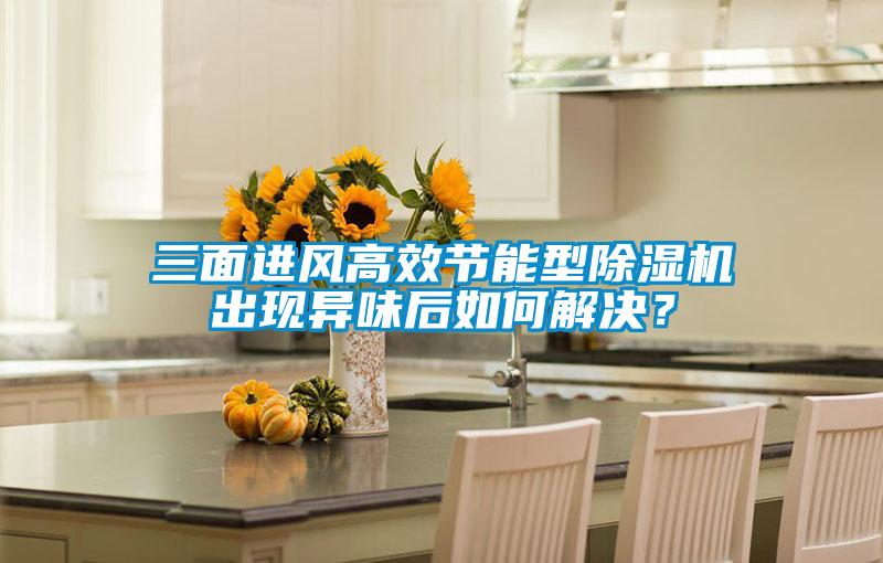 三面進風高效節能型除濕機出現異味后如何解決?