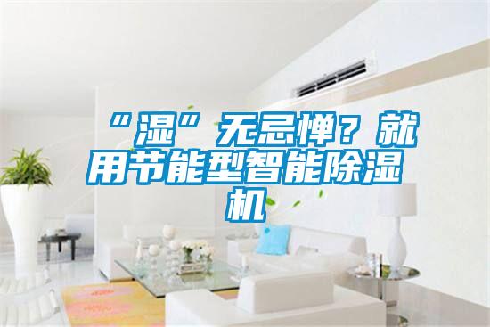 “濕”無忌憚?就用節能型智能除濕機