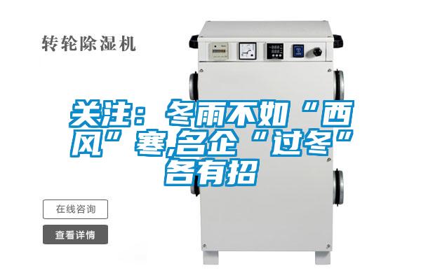 關(guān)注:冬雨不如“西風”寒,名企“過冬”各有招