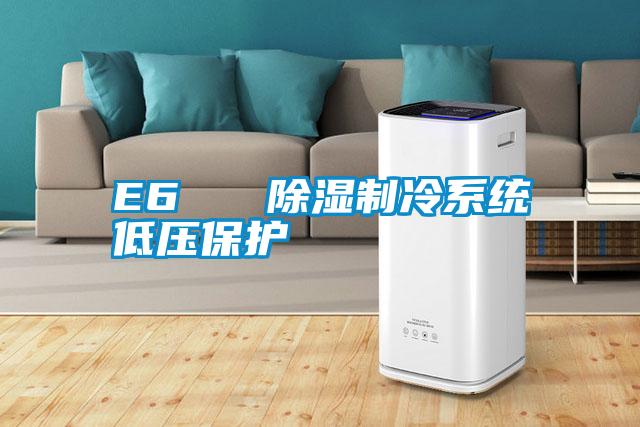 E6 除濕制冷系統低壓保護