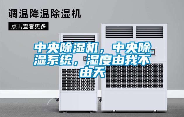 中央除濕機,中央除濕系統,濕度由我不由天