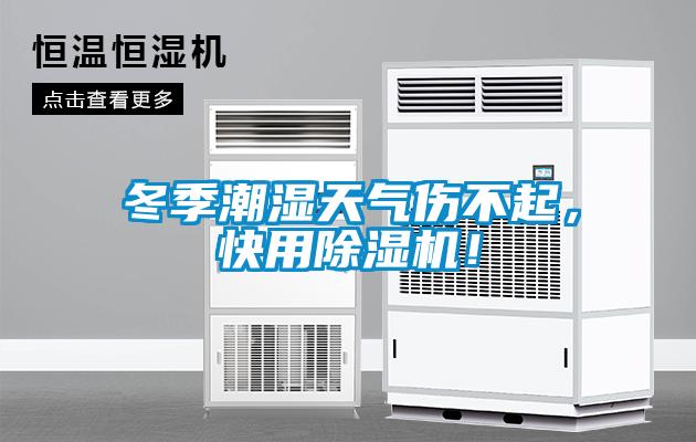 冬季潮濕天氣傷不起，快用除濕機！