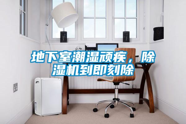 地下室潮濕頑疾，除濕機到即刻除