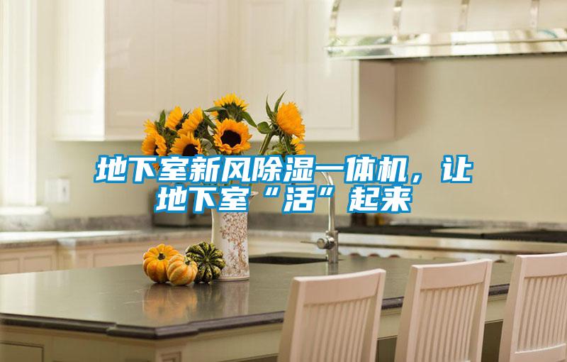 地下室新風除濕一體機，讓地下室“活”起來