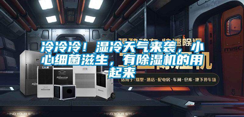 冷冷冷!濕冷天氣來襲,小心細菌滋生,有除濕機的用起來