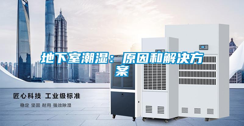 地下室潮濕:原因和解決方案