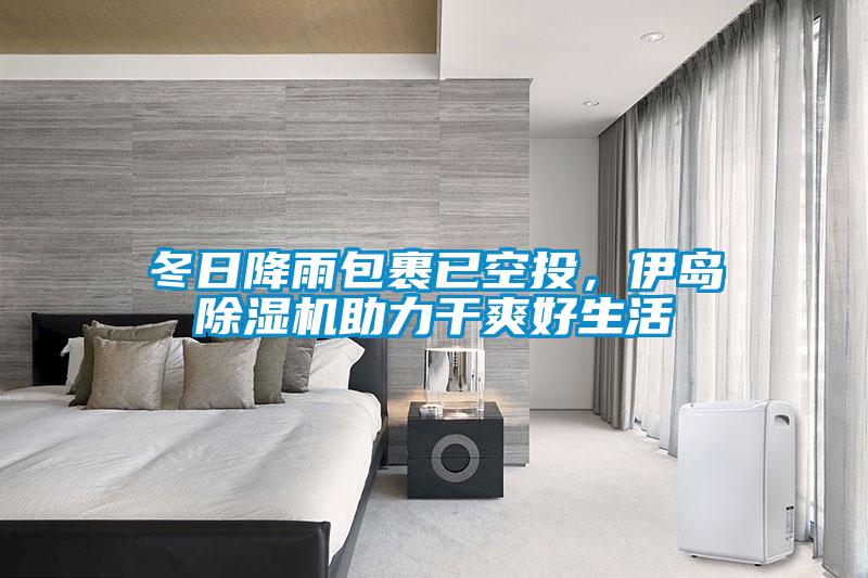 冬日降雨包裹已空投，伊島除濕機助力干爽好生活