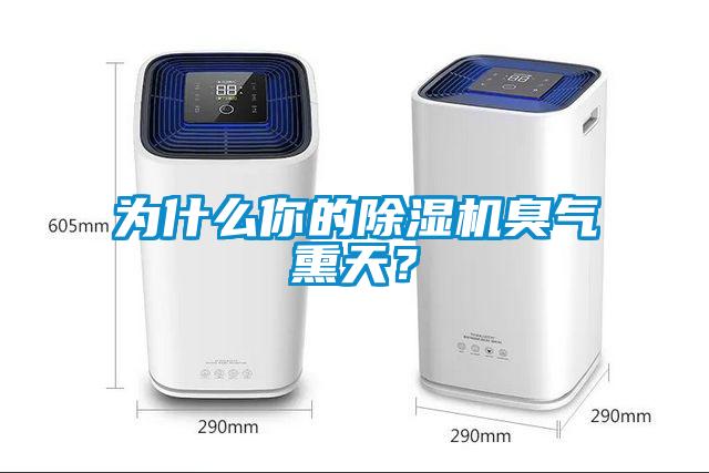 為什么你的除濕機臭氣熏天?