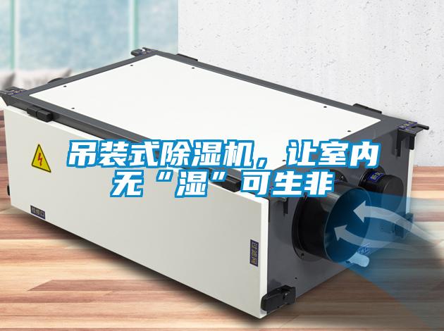 吊裝式除濕機,讓室內無“濕”可生非