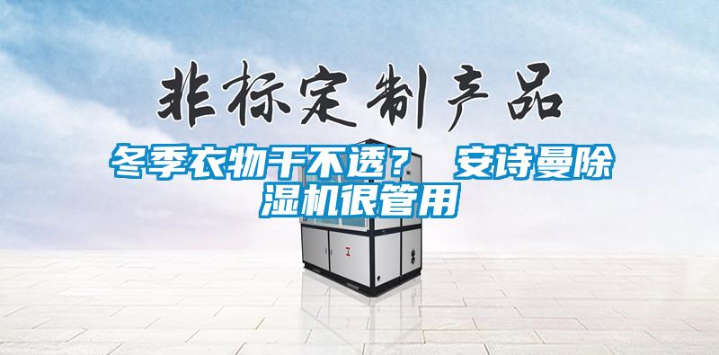 冬季衣物干不透? 安詩曼除濕機很管用