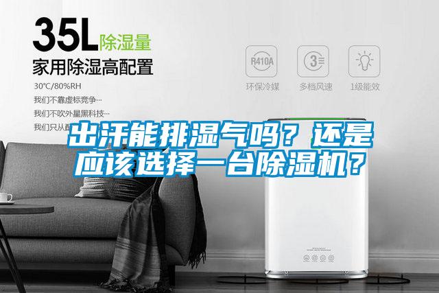出汗能排濕氣嗎？還是應該選擇一臺除濕機？