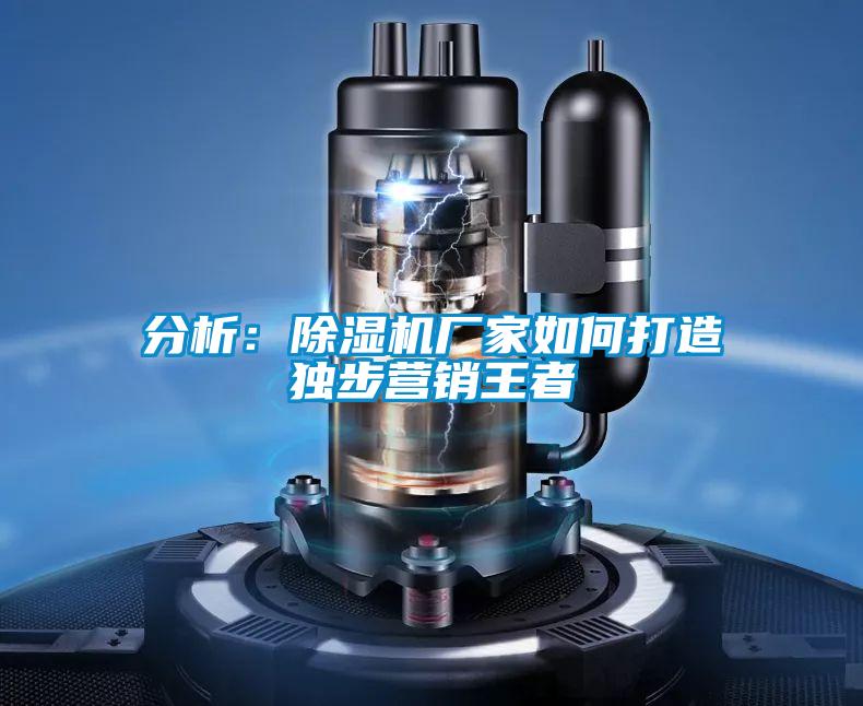 分析:除濕機廠家如何打造獨步營銷王者