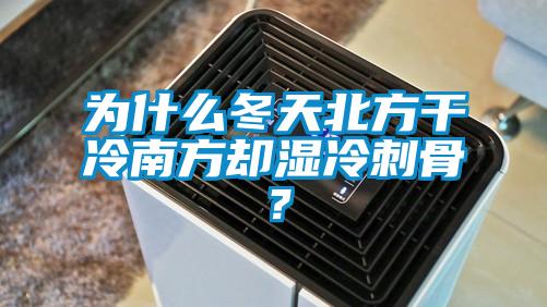 為什么冬天北方干冷南方卻濕冷刺骨?