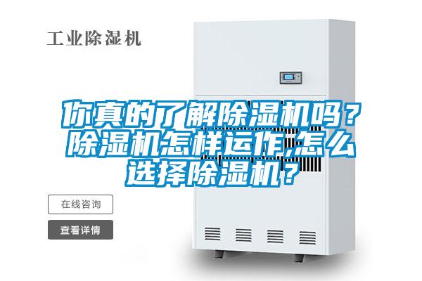 你真的了解除濕機嗎?除濕機怎樣運作,怎么選擇除濕機?