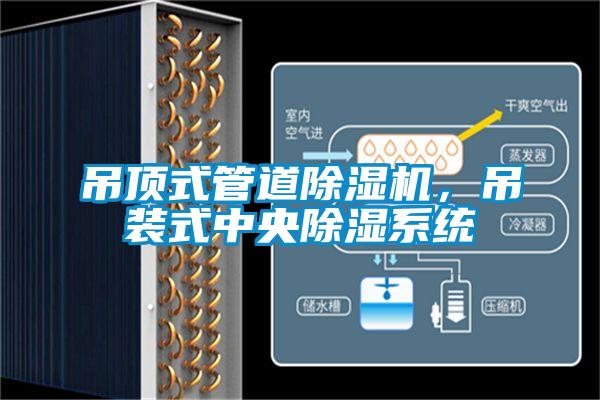 吊頂式管道除濕機,吊裝式中央除濕系統