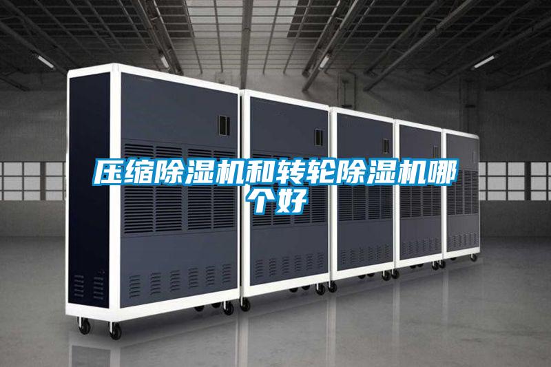 壓縮除濕機(jī)和轉(zhuǎn)輪除濕機(jī)哪個好