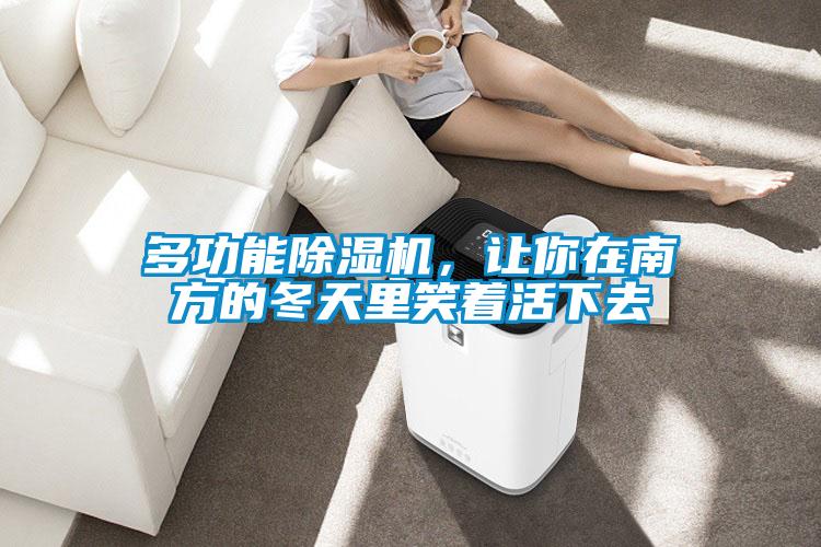 多功能除濕機,讓你在南方的冬天里笑著活下去