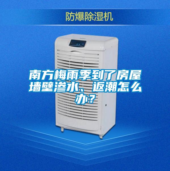 南方梅雨季到了房屋墻壁滲水、返潮怎么辦?