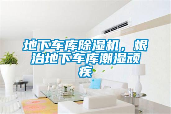 地下車庫除濕機,根治地下車庫潮濕頑疾