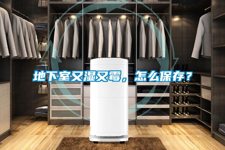 地下室又濕又霉，怎么保存？