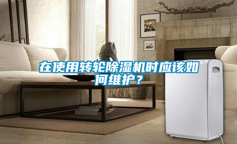 在使用轉(zhuǎn)輪除濕機(jī)時(shí)應(yīng)該如何維護(hù)?