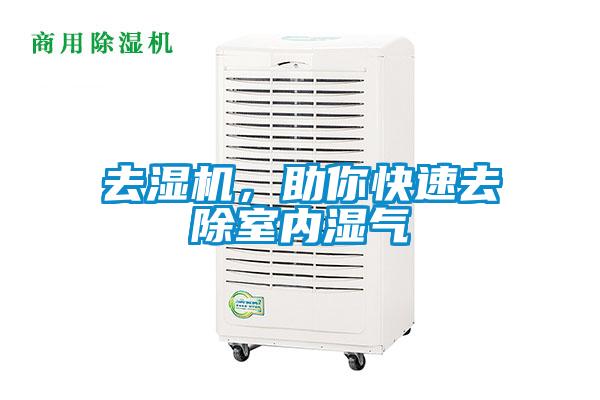去濕機,助你快速去除室內濕氣