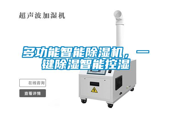 多功能智能除濕機,一鍵除濕智能控濕