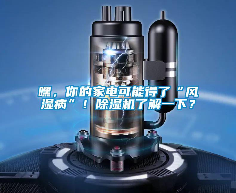 嘿,你的家電可能得了“風濕病”!除濕機了解一下?