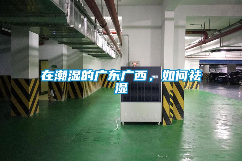 在潮濕的廣東廣西,如何祛濕