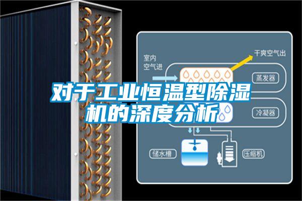 對于工業恒溫型除濕機的深度分析