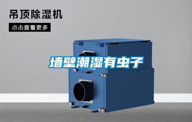 墻壁潮濕有蟲(chóng)子