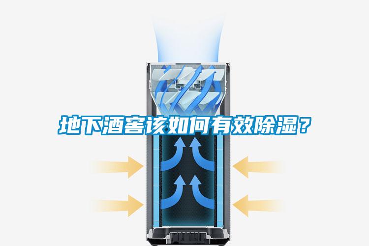地下酒窖該如何有效除濕?