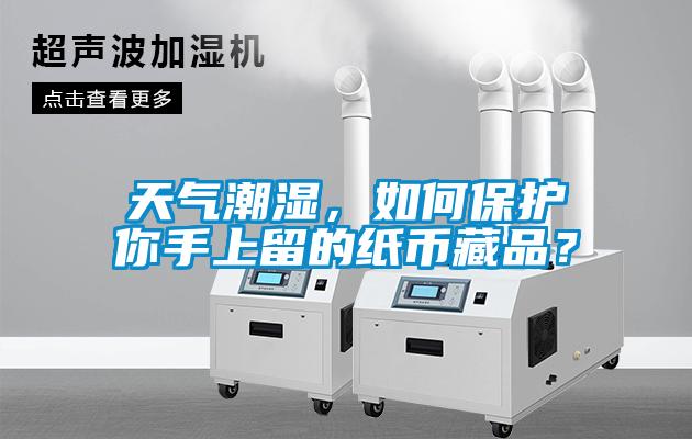 天氣潮濕,如何保護你手上留的紙幣藏品?