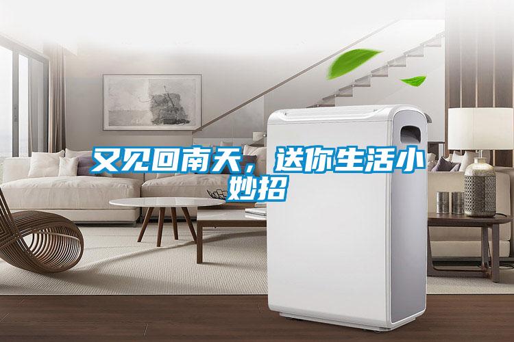 又見回南天,送你生活小妙招